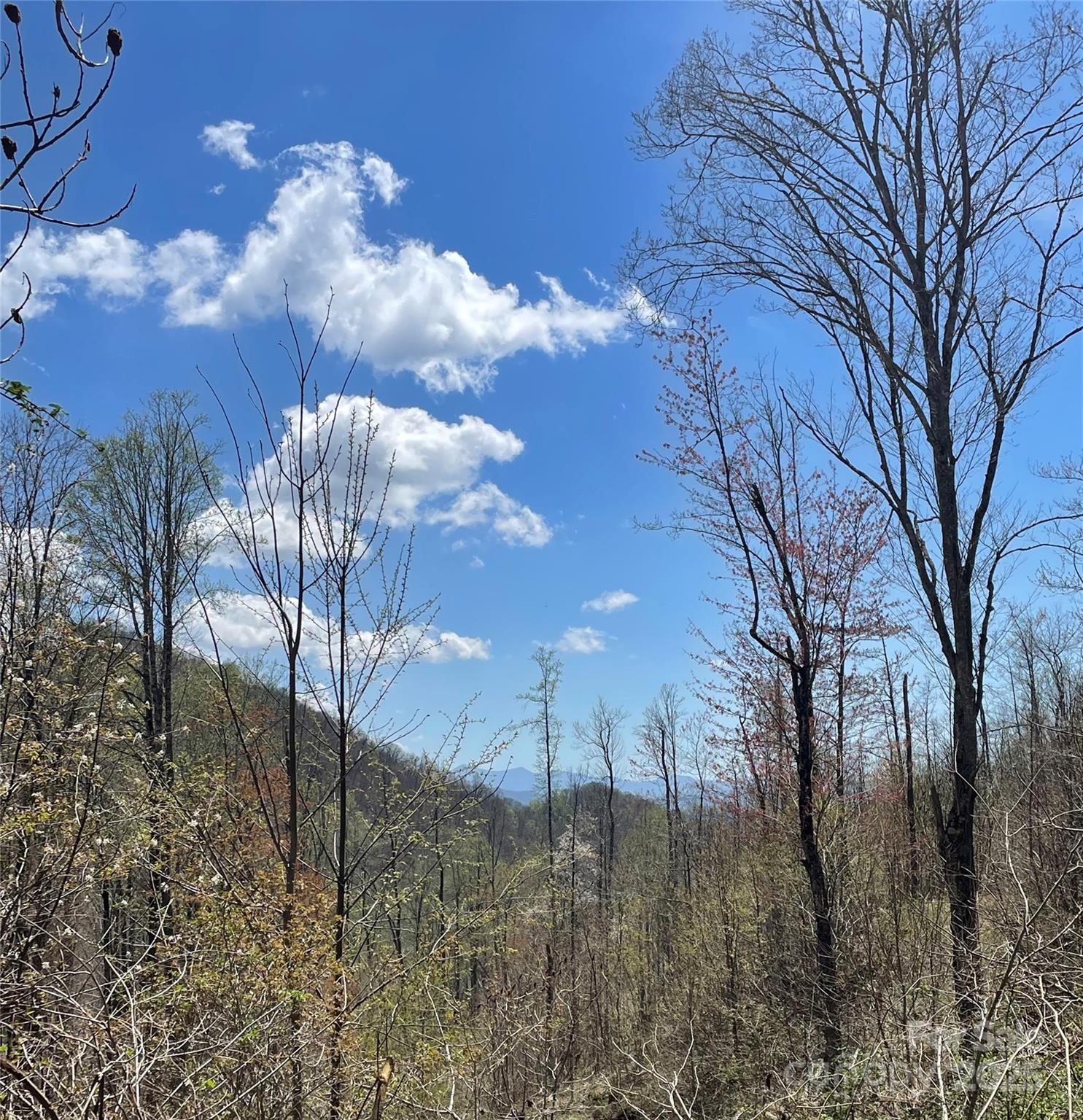 1201 Simms Fork Road Burnsville, NC 28714 - Photo 17 of 29