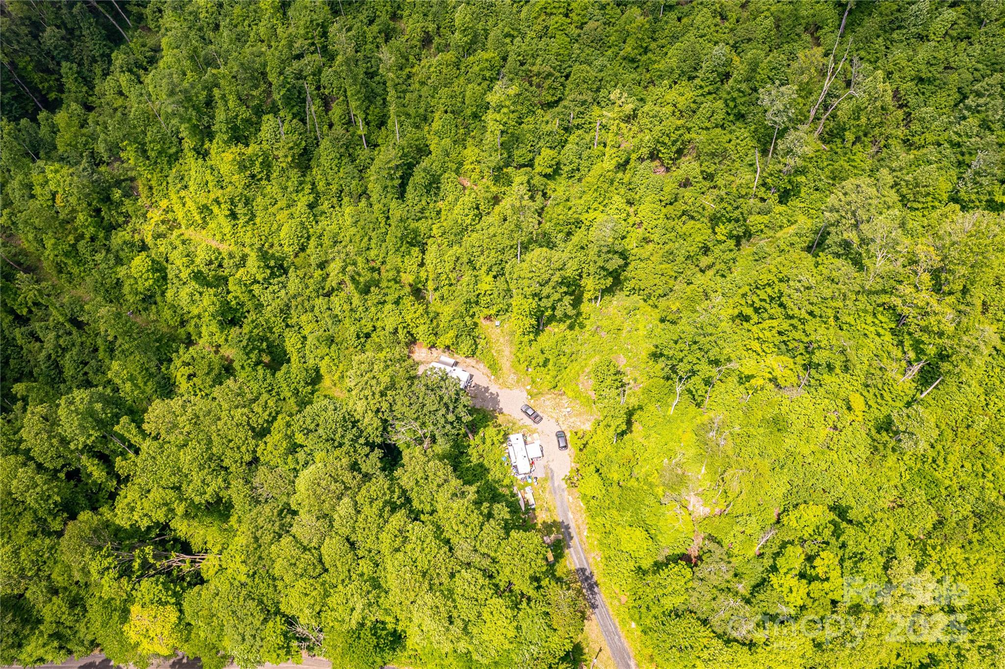 1201 Simms Fork Road Burnsville, NC 28714 - Photo 19 of 29