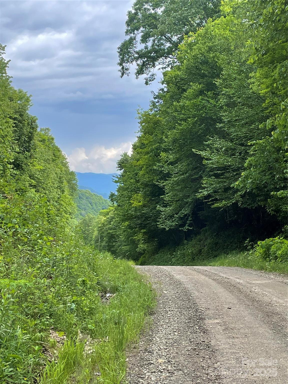 1201 Simms Fork Road Burnsville, NC 28714 - Photo 2 of 29