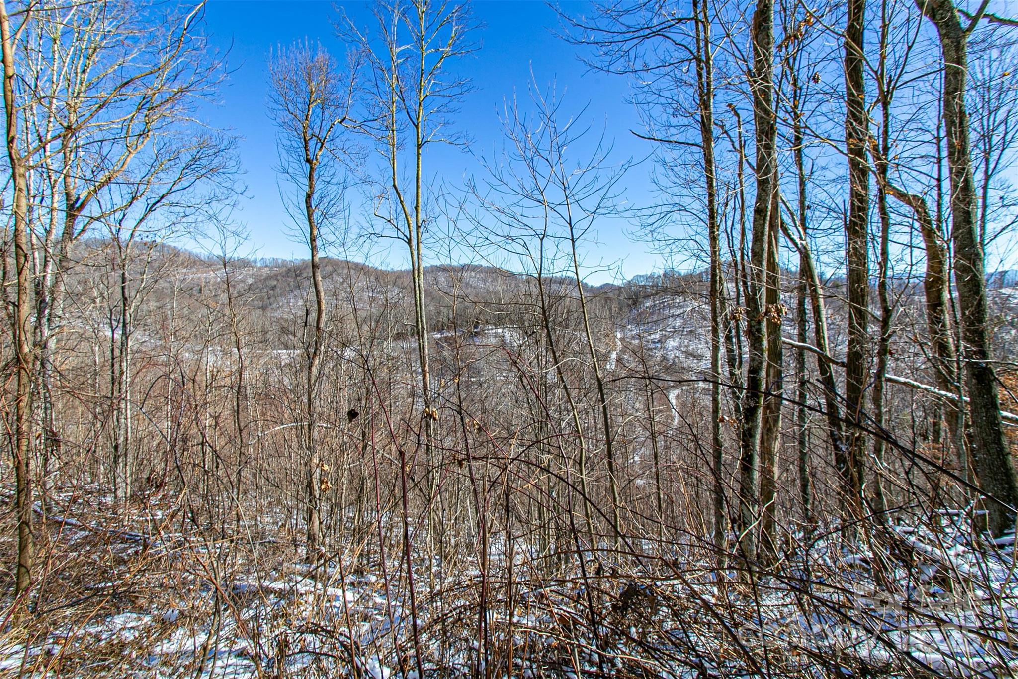 1201 Simms Fork Road Burnsville, NC 28714 - Photo 22 of 29