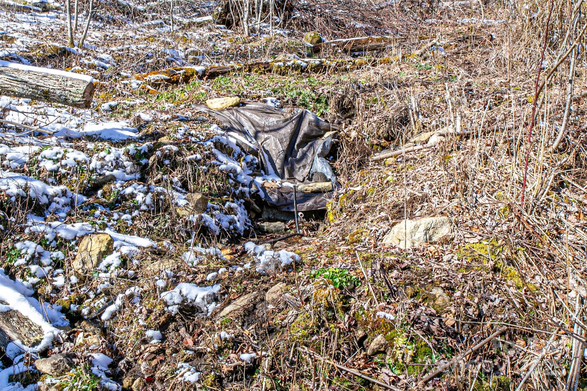 1201 Simms Fork Road Burnsville, NC 28714 - Photo 25 of 29