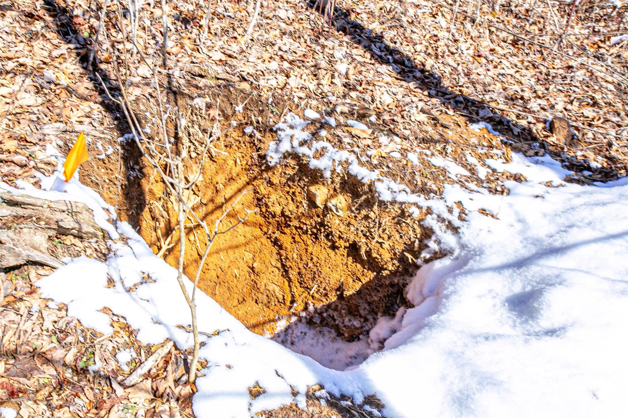 1201 Simms Fork Road Burnsville, NC 28714 - Photo 26 of 29