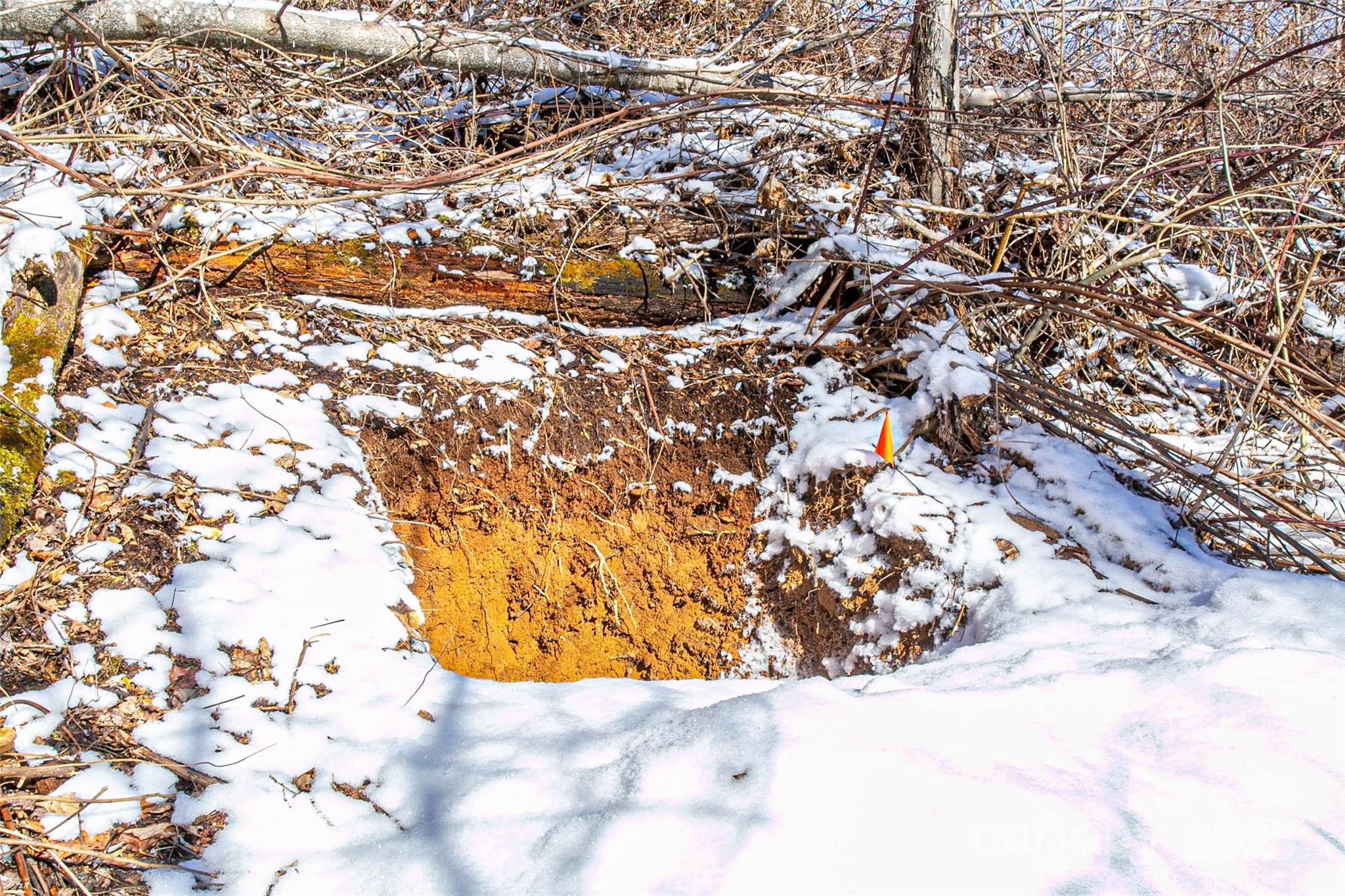 1201 Simms Fork Road Burnsville, NC 28714 - Photo 27 of 29