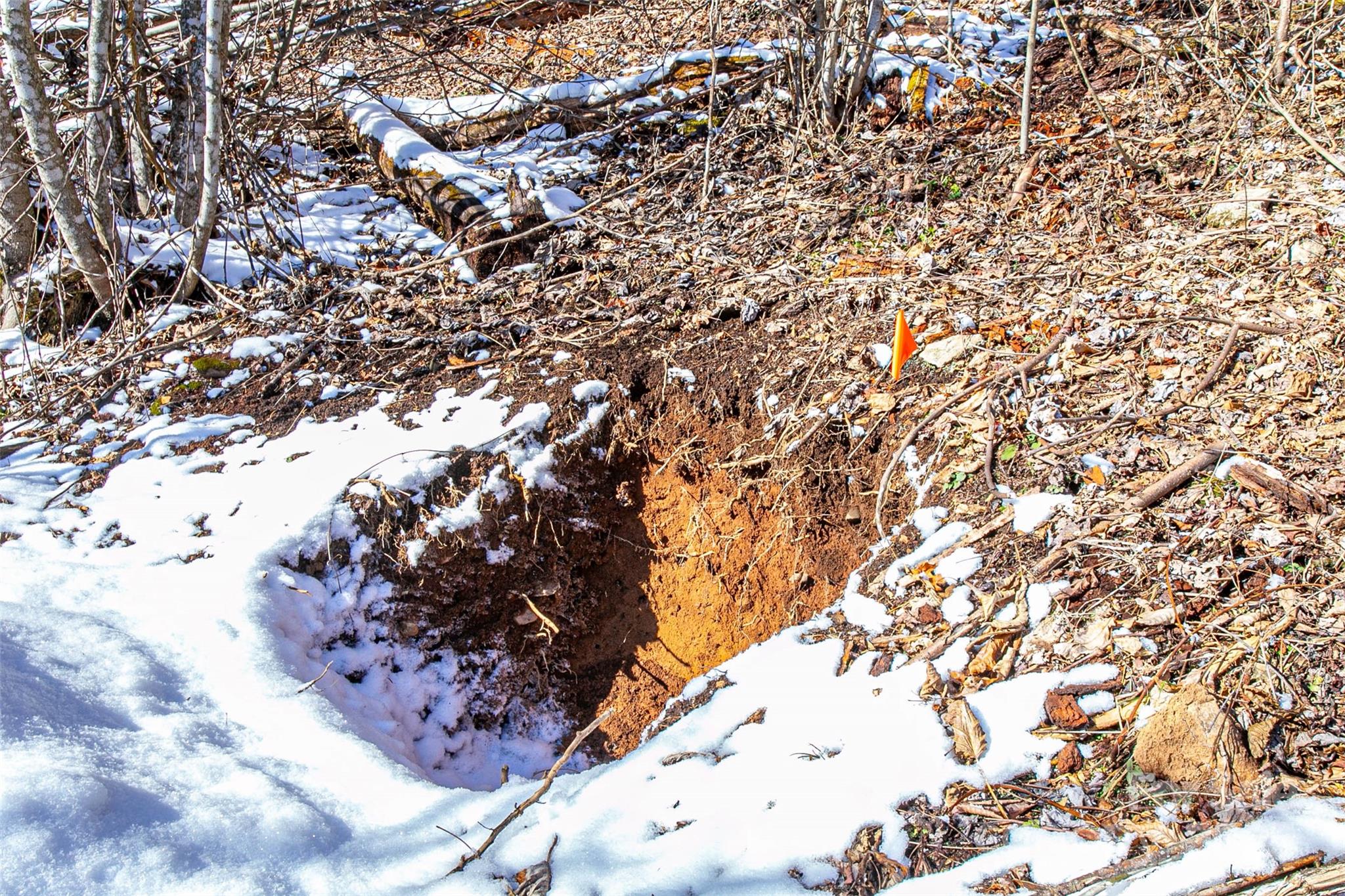 1201 Simms Fork Road Burnsville, NC 28714 - Photo 28 of 29