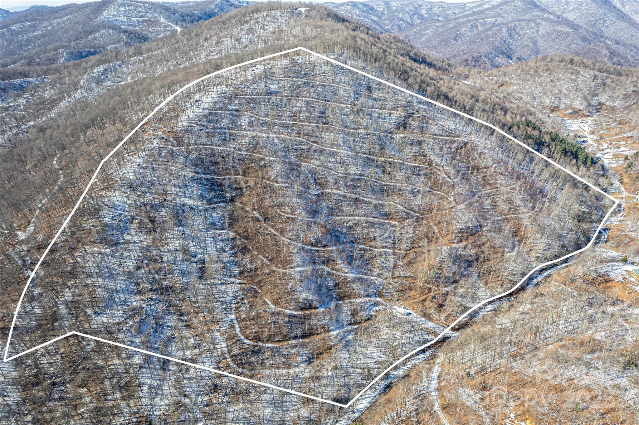 1201 Simms Fork Road Burnsville, NC 28714 - Photo 29 of 29