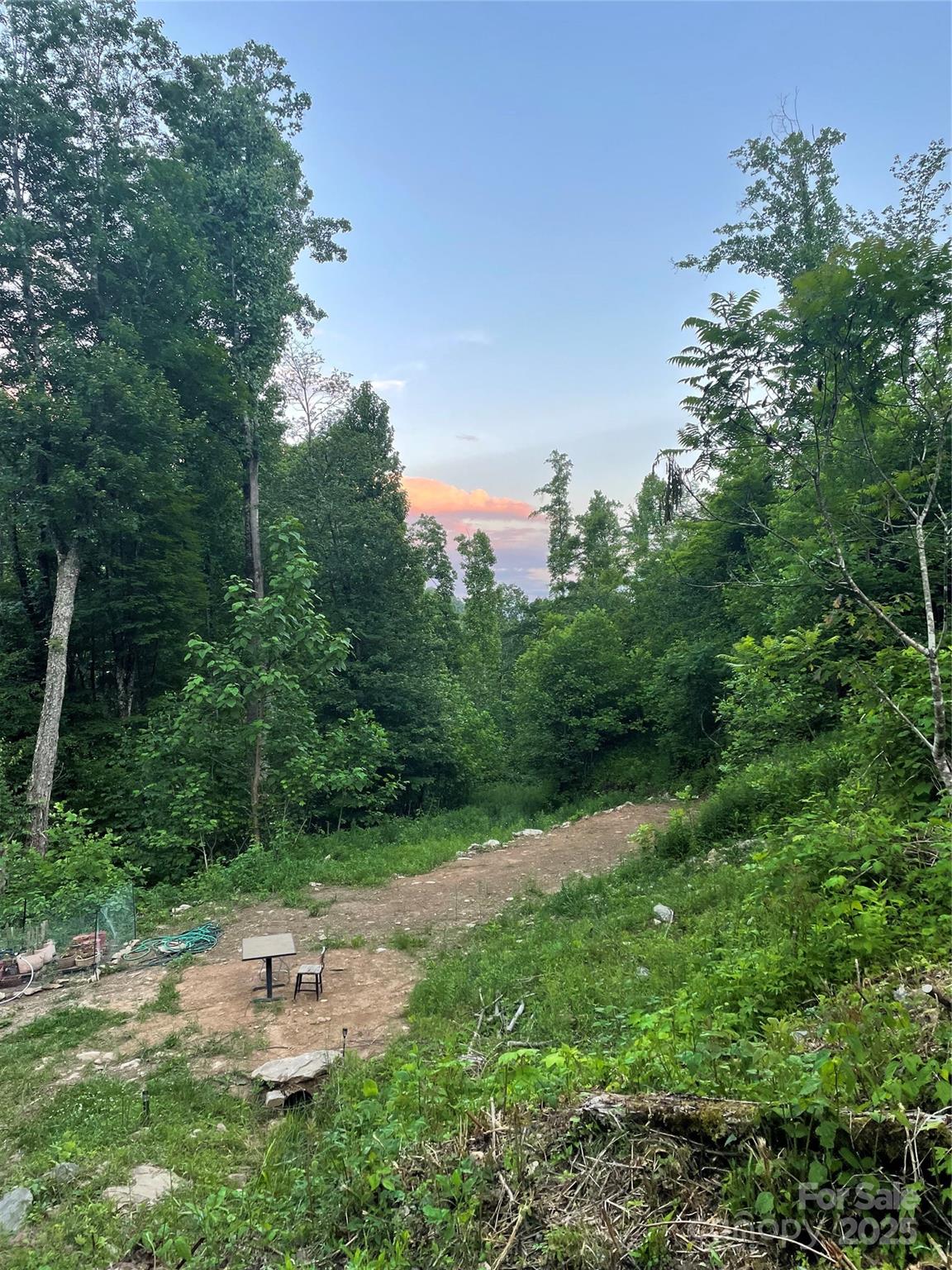 1201 Simms Fork Road Burnsville, NC 28714 - Photo 3 of 29