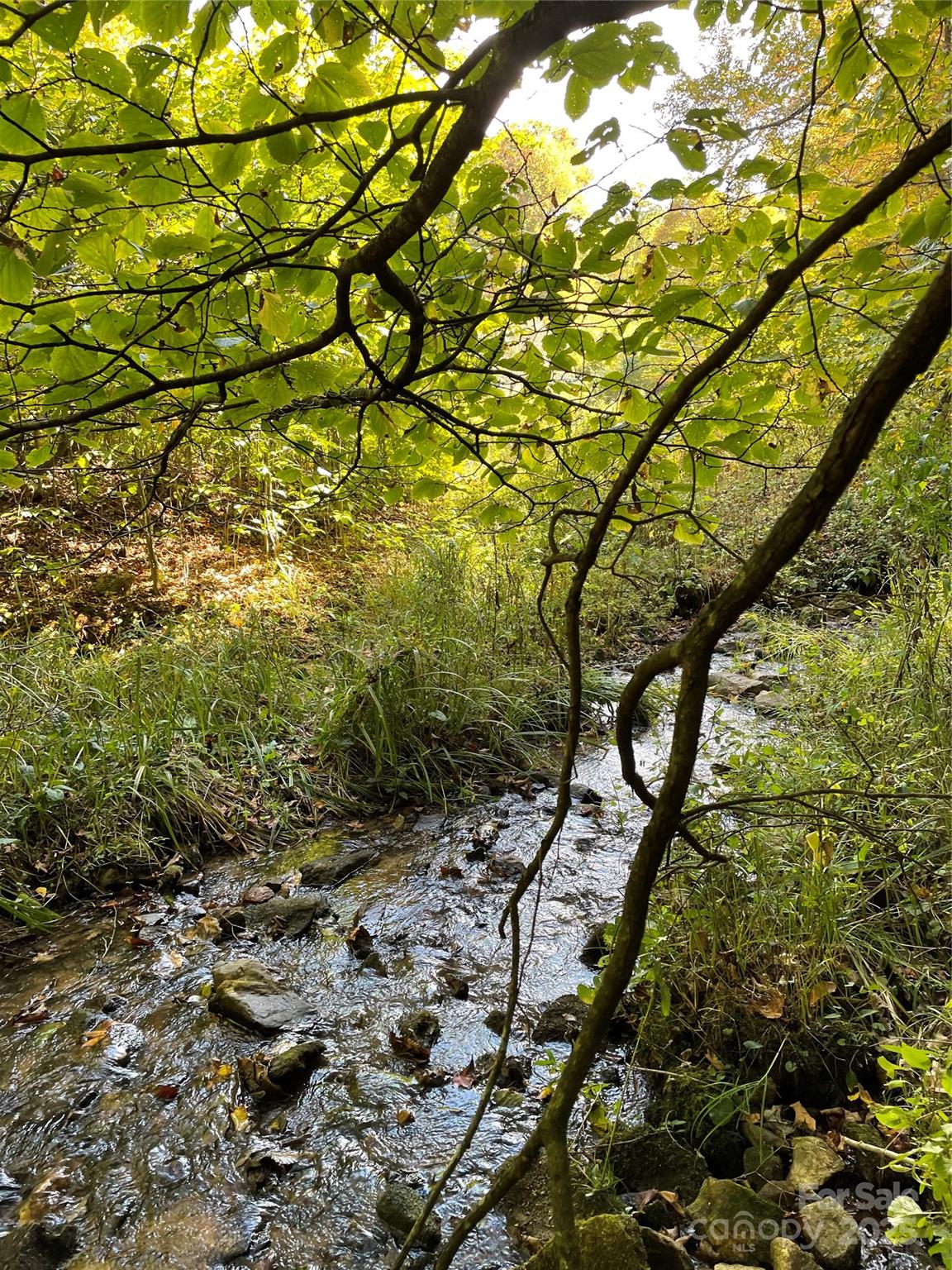 1201 Simms Fork Road Burnsville, NC 28714 - Photo 4 of 29