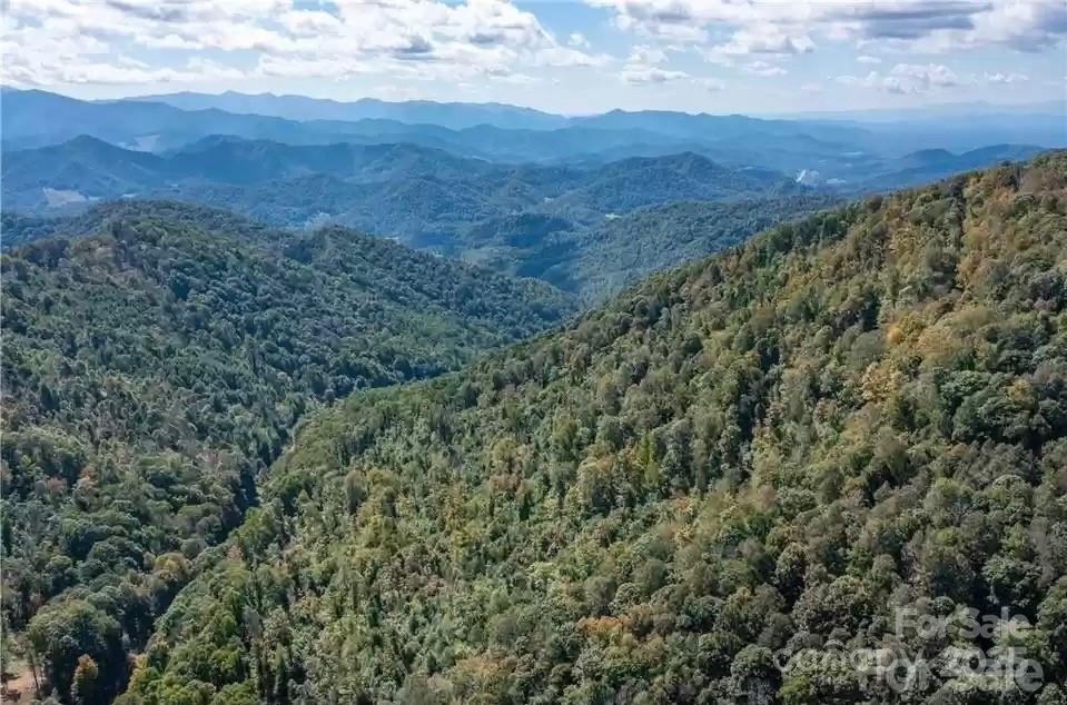 1201 Simms Fork Road Burnsville, NC 28714 - Photo 5 of 29