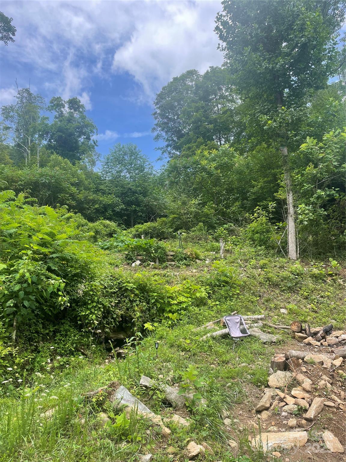 1201 Simms Fork Road Burnsville, NC 28714 - Photo 7 of 29