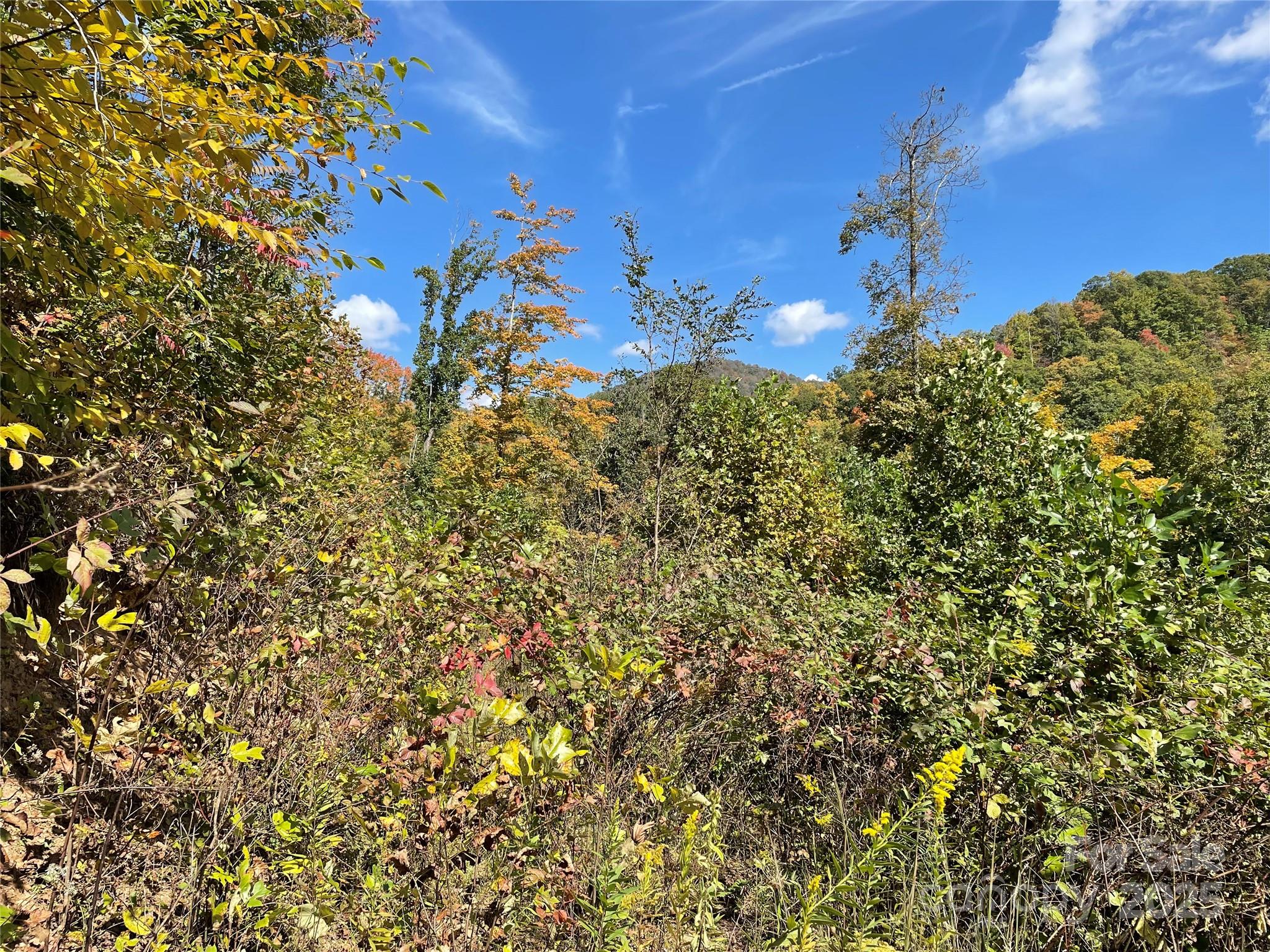 1201 Simms Fork Road Burnsville, NC 28714 - Photo 9 of 29