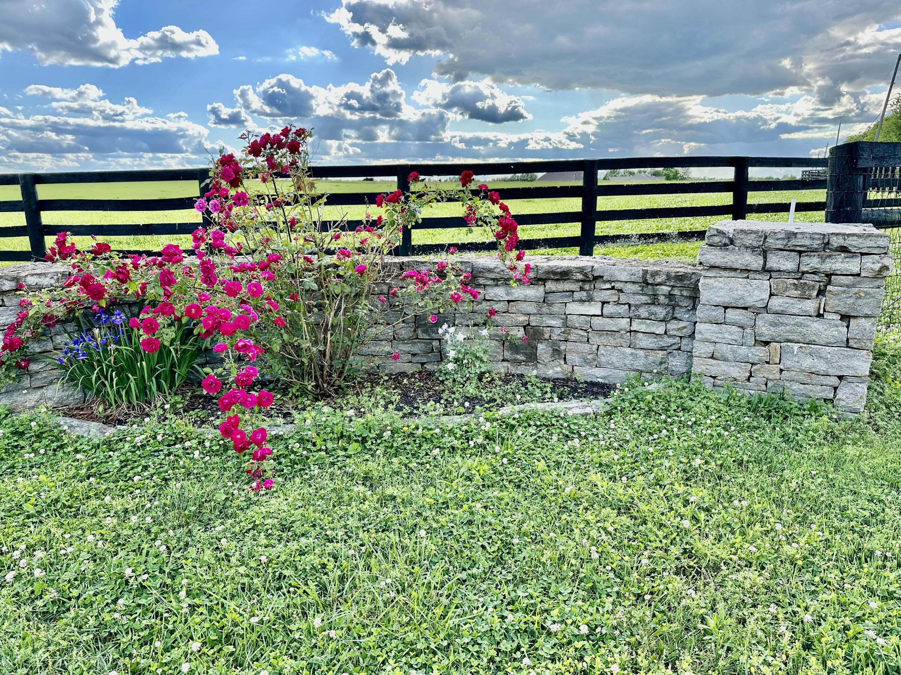 2120 Ironworks Road Lexington, KY 40511 - Photo 5 of 68 IMG_2040