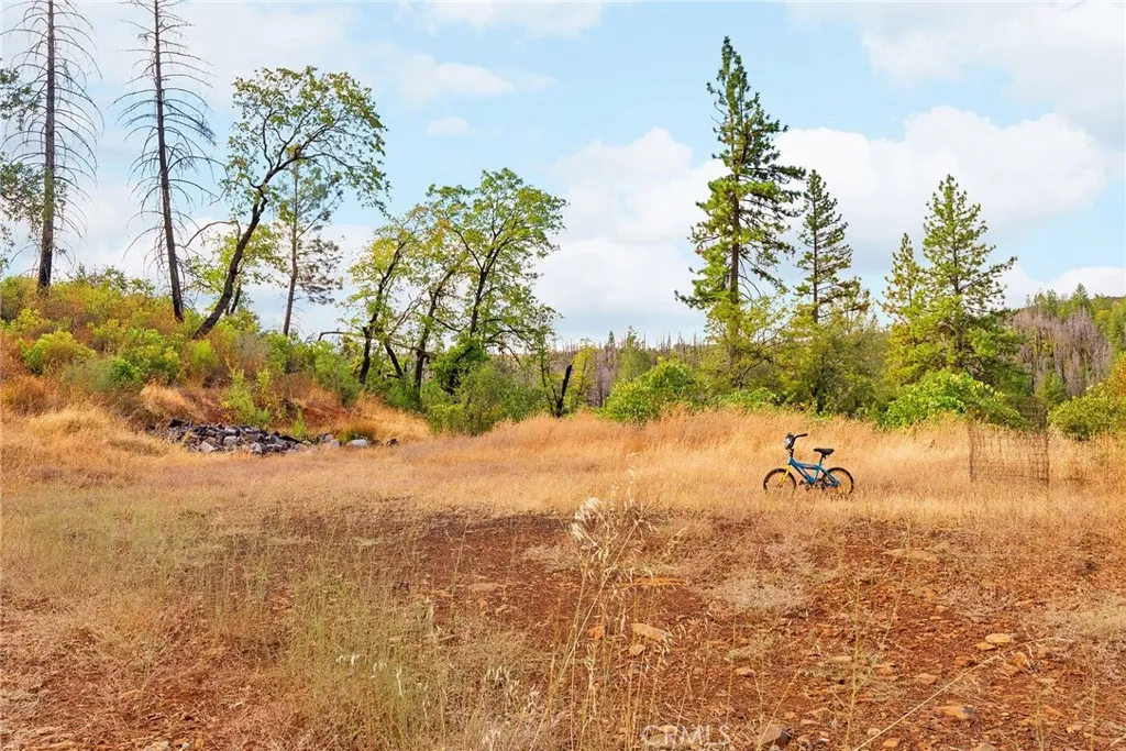 0 Deadwood Road Oroville, CA 95965 - Photo 14 of 55 a view of ocean view with large trees