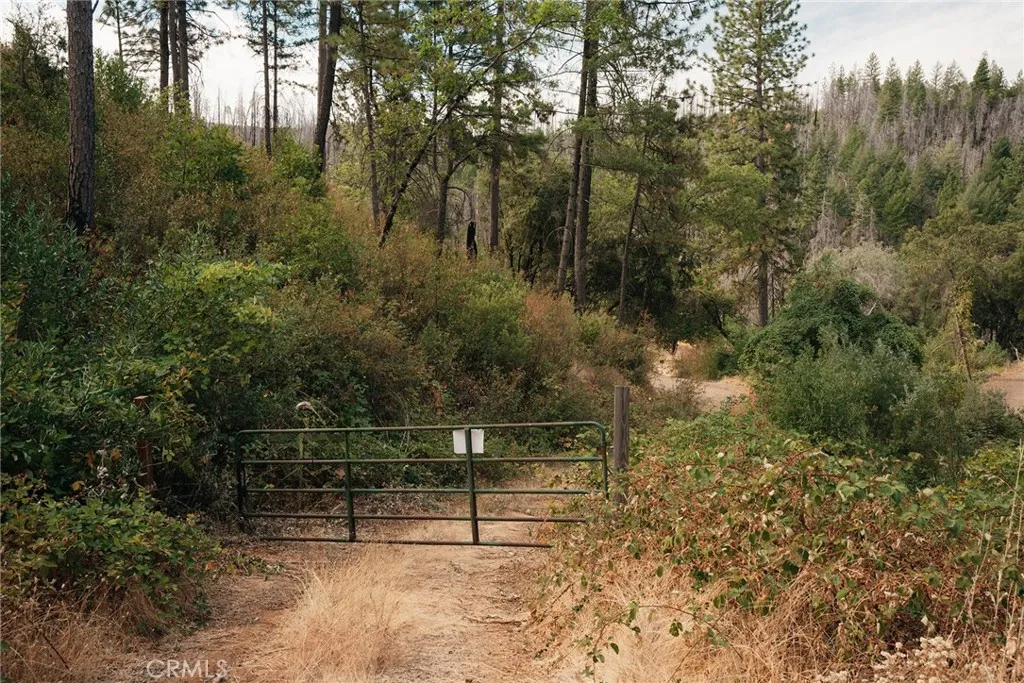 0 Deadwood Road Oroville, CA 95965 - Photo 3 of 55 a view of outdoor space and garden