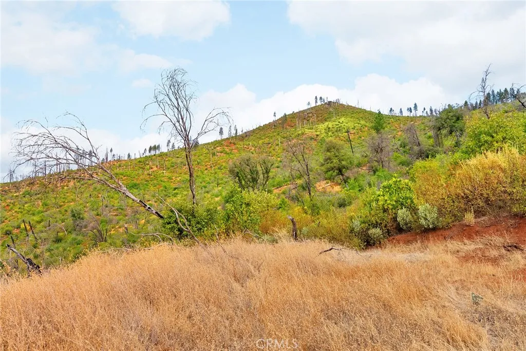 0 Deadwood Road Oroville, CA 95965 - Photo 36 of 55