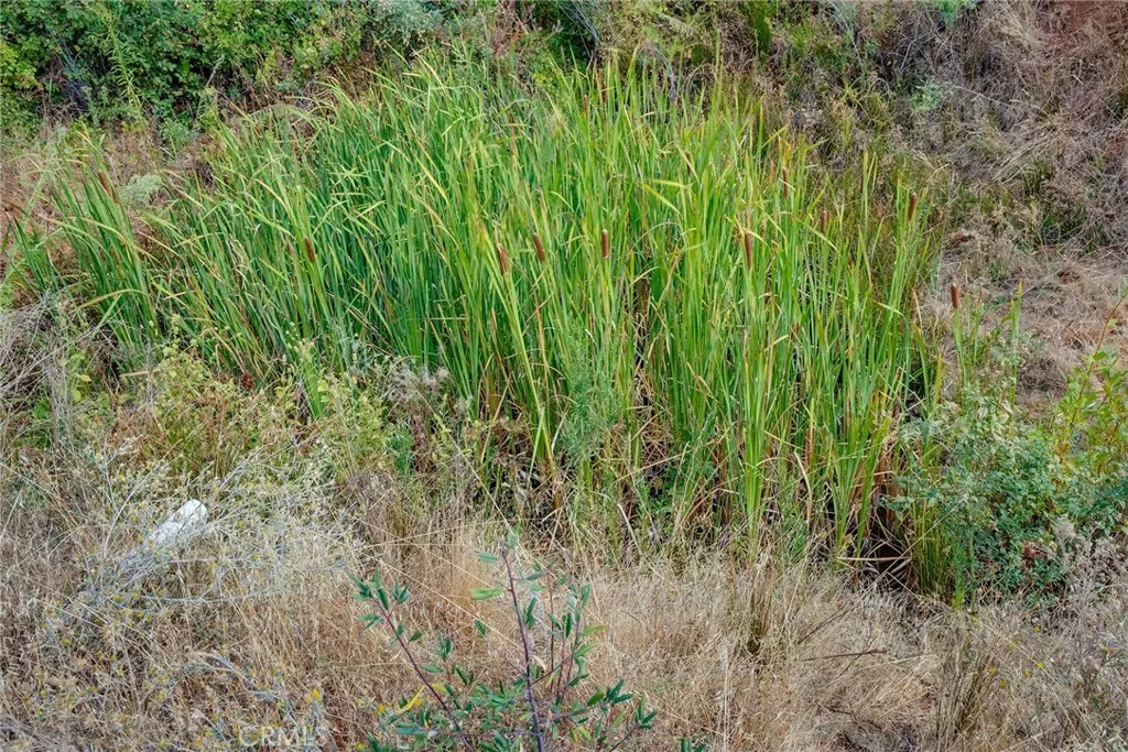 0 Deadwood Road Oroville, CA 95965 - Photo 53 of 55