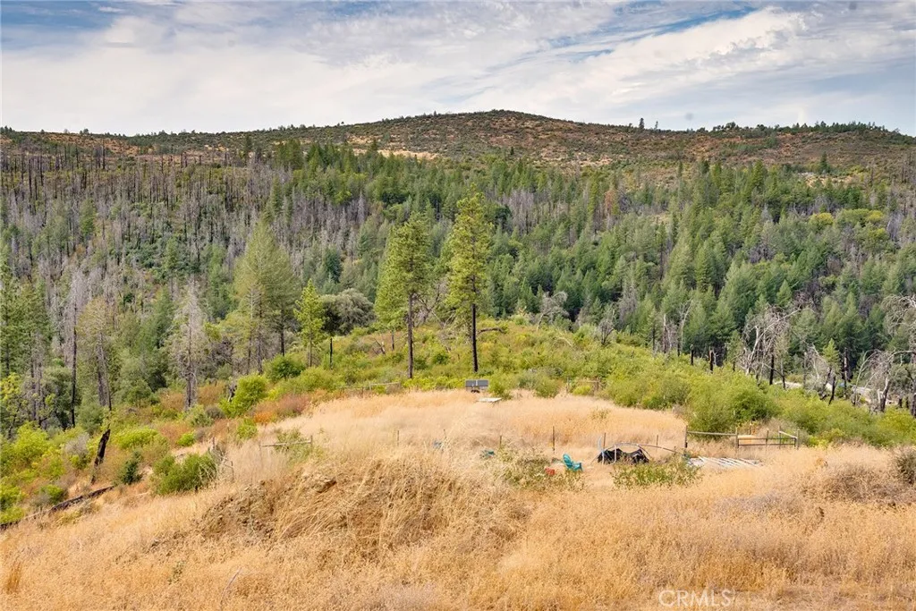 0 Deadwood Road Oroville, CA 95965 - Photo 54 of 55 a view of a yard with a tree