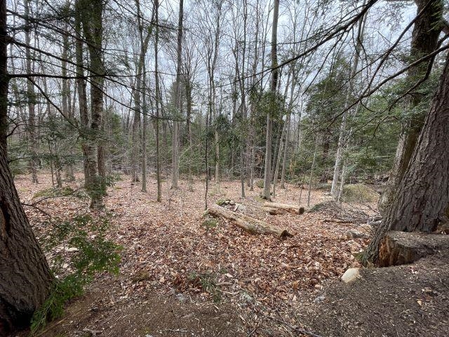 241 Smith Pond Road Washington, NH 03280 - Photo 29 of 33