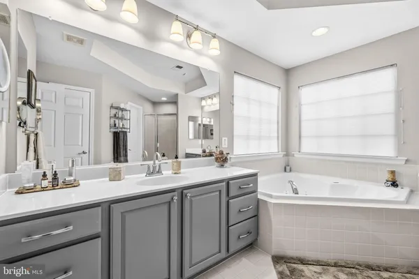 a bathroom with a double vanity sink large mirror and a bathtub