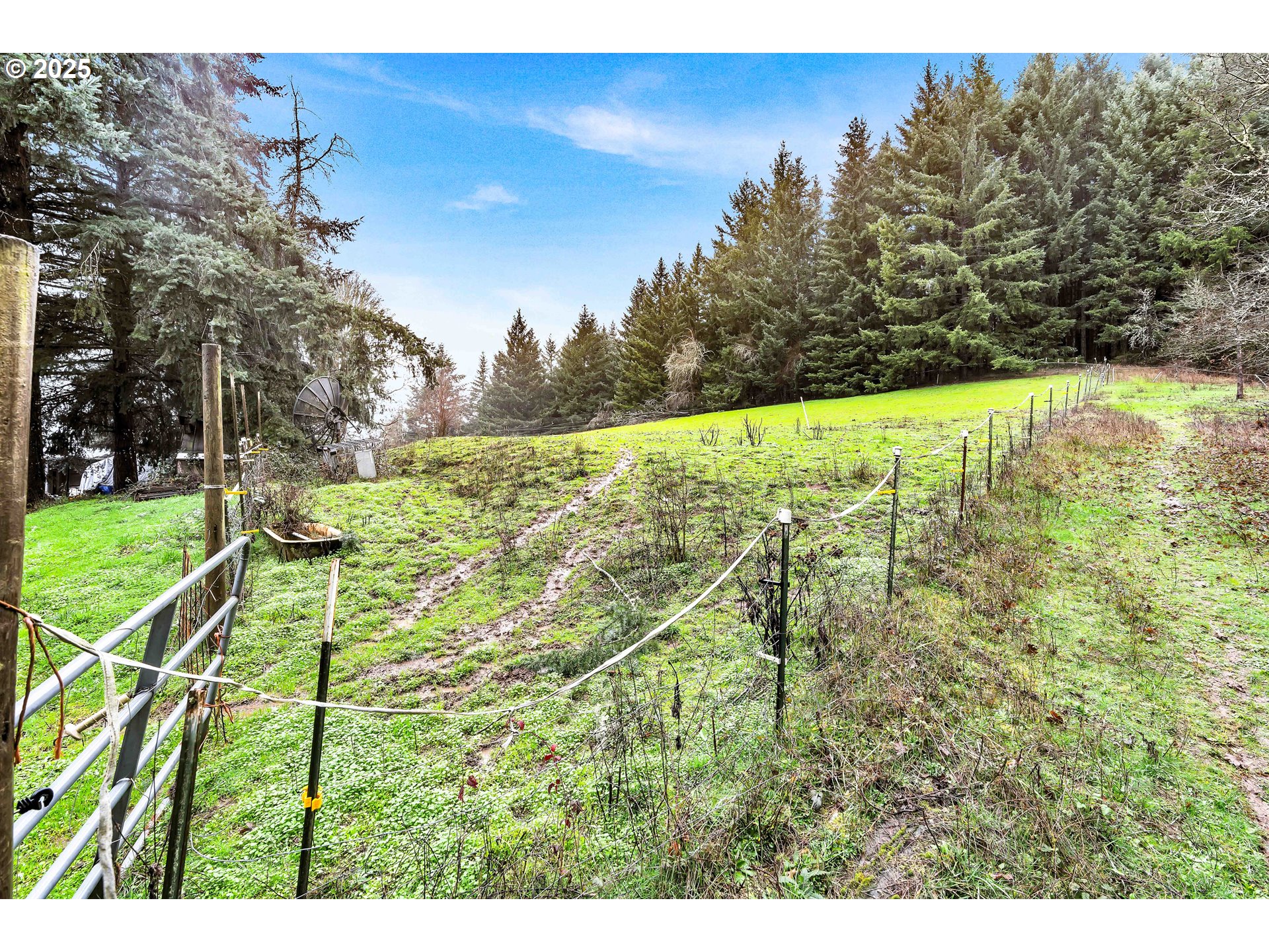 17600 Northwest Panther Creek Road Carlton, OR 97111 - Photo 20 of 30