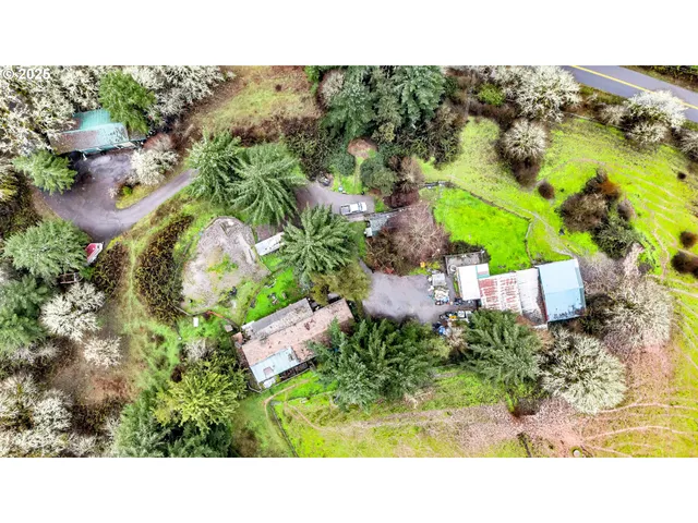 a open area with lots of green space