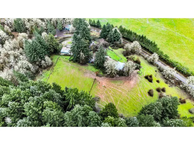 a view of a mountain in the distance