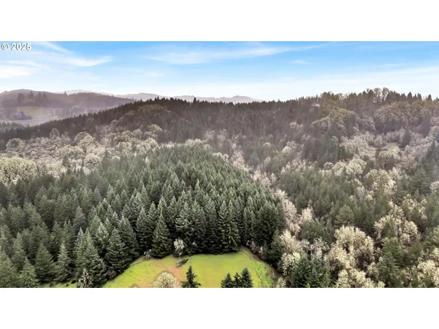a bathroom with a mountain view