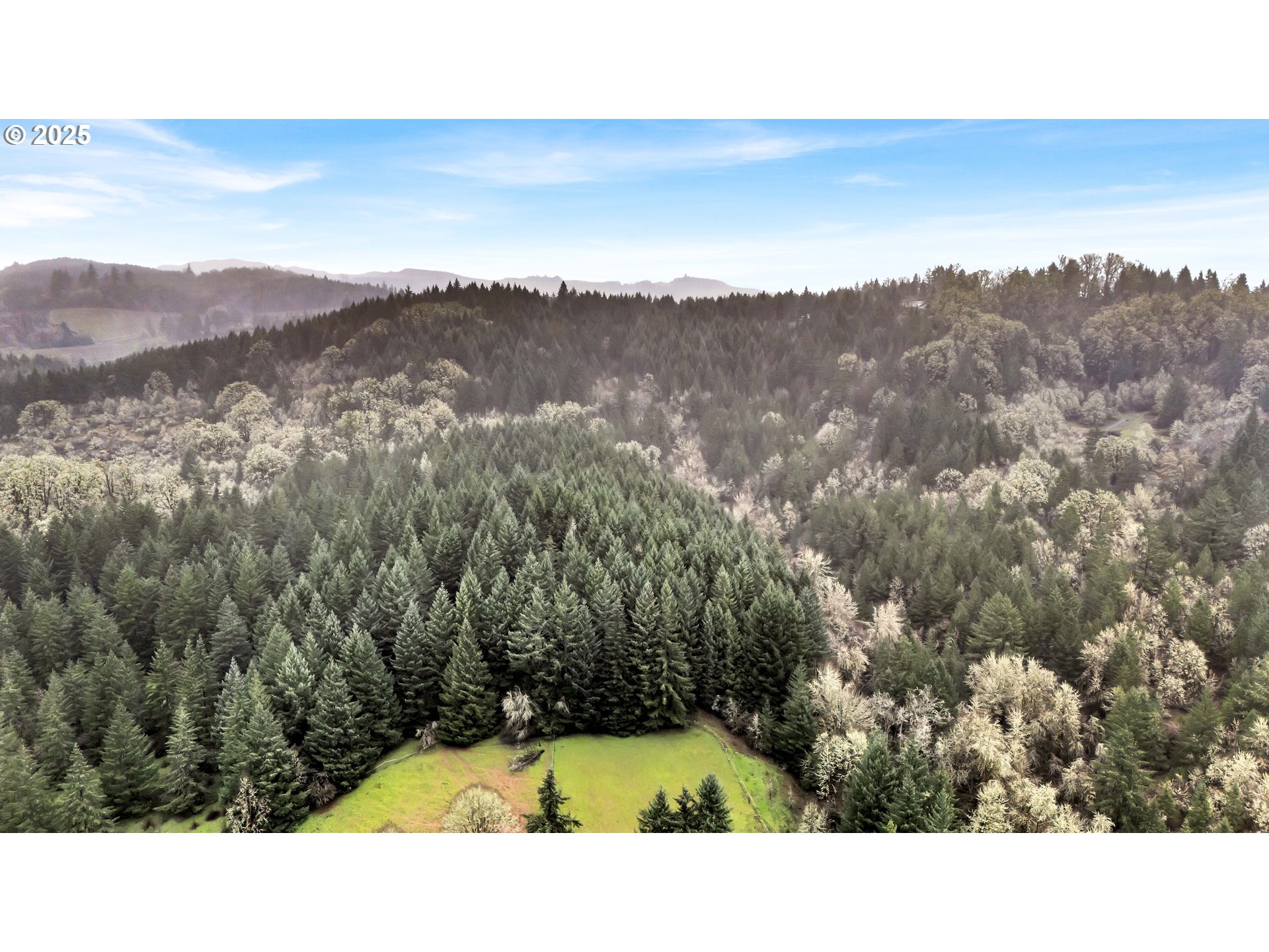 17600 Northwest Panther Creek Road Carlton, OR 97111 - Photo 28 of 30