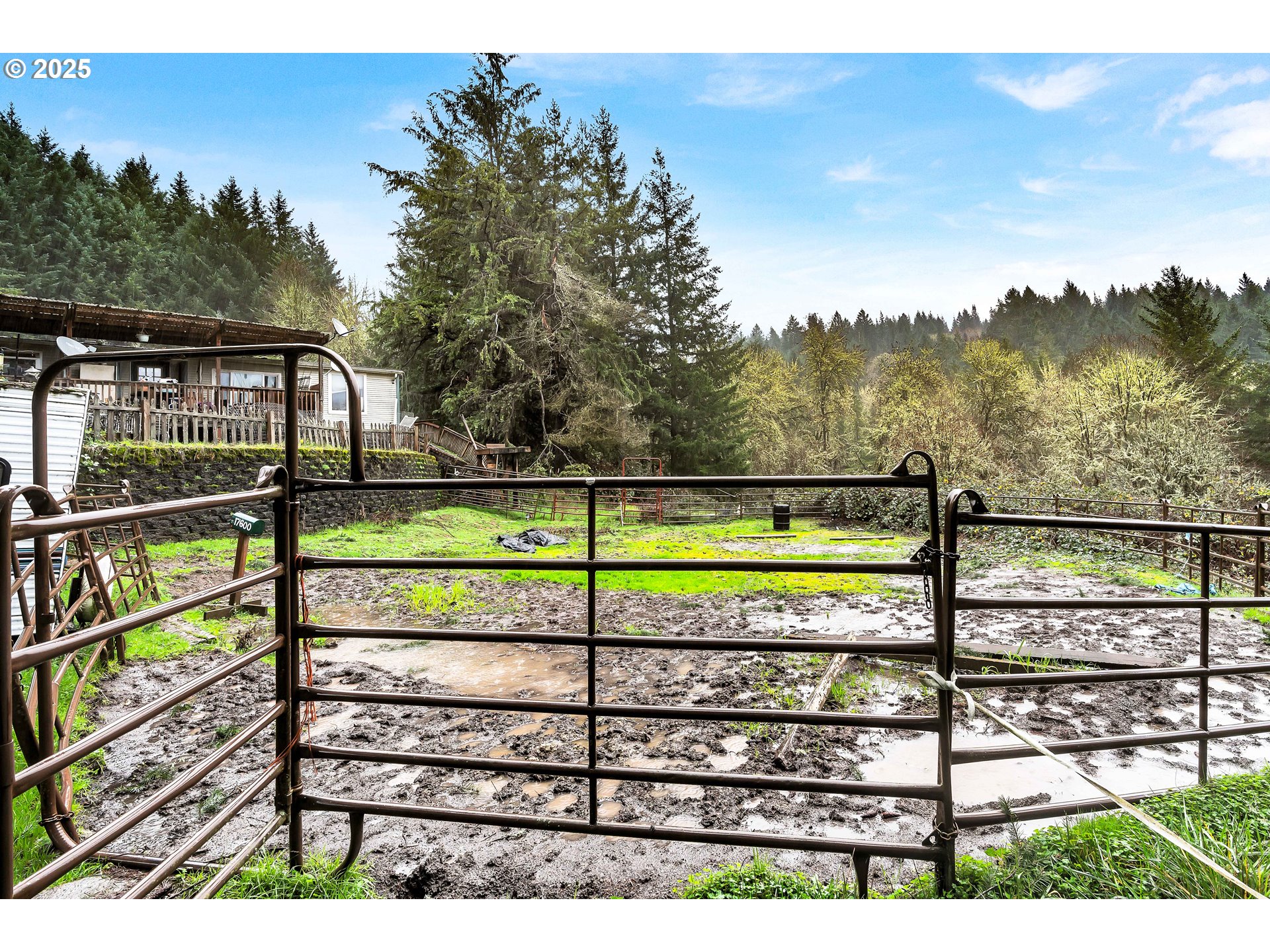 17600 Northwest Panther Creek Road Carlton, OR 97111 - Photo 6 of 30