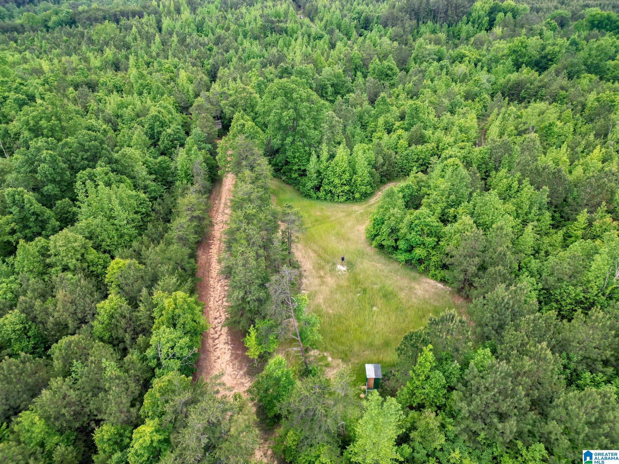 12680 Groundhog Road, Unit 1 Adger, AL 35006 - Photo 8 of 28