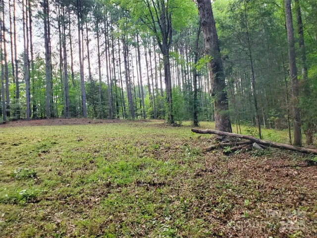 a view of outdoor space with trees all around