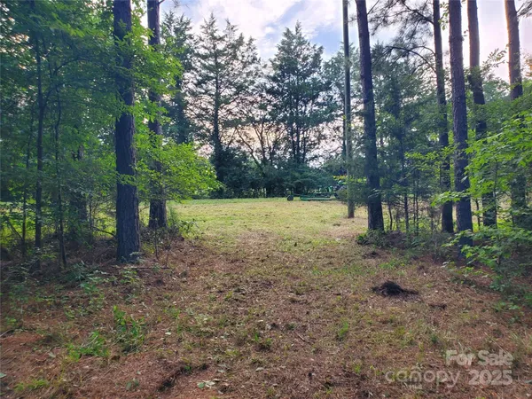 a view of a yard with trees