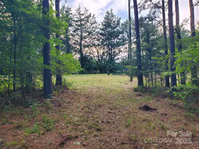 a view of a yard with trees
