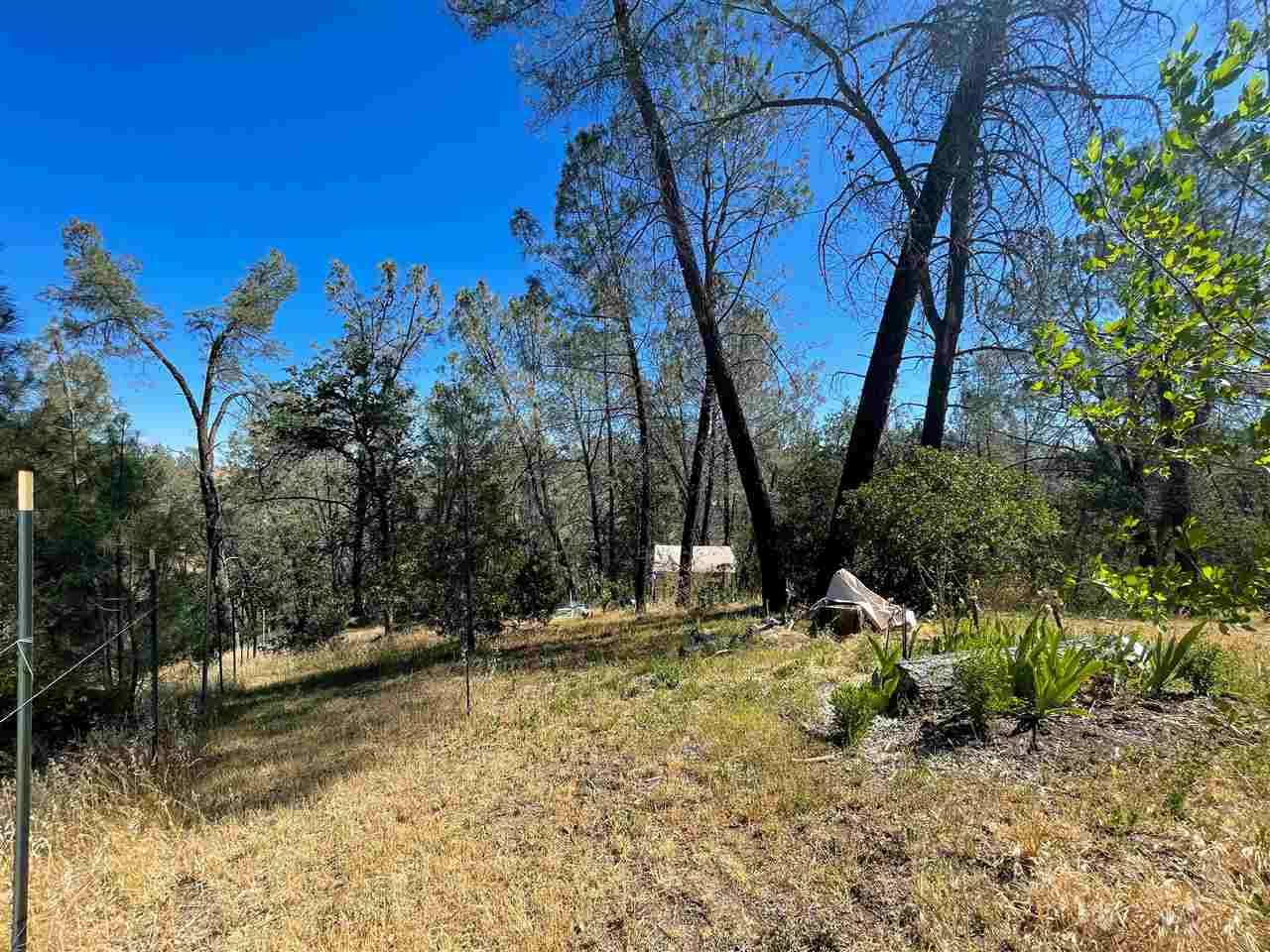 16182 Stagecoach Road Corning, CA 96021 - Photo 8 of 22