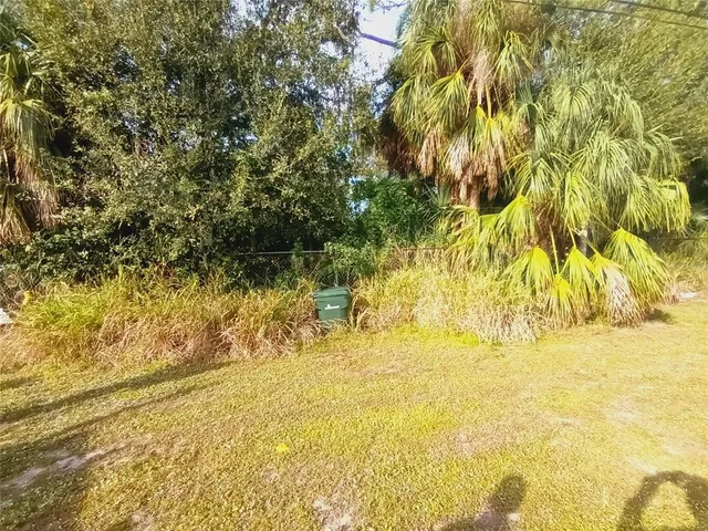 a view of back yard of the garden
