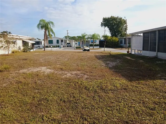 a row of palm trees in front of house