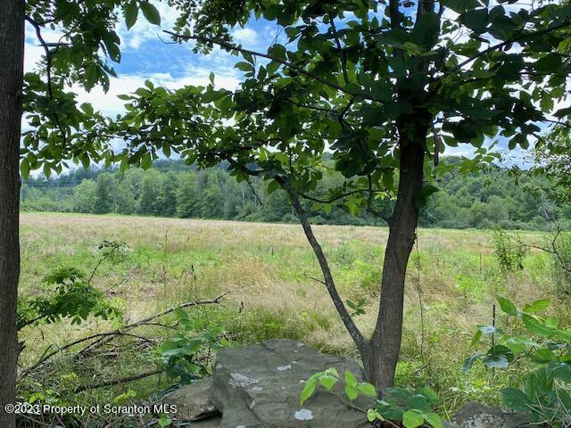 Lot 8 Stone Road Dalton, PA 18414 - Photo 7 of 7 a view of a yard with a tree