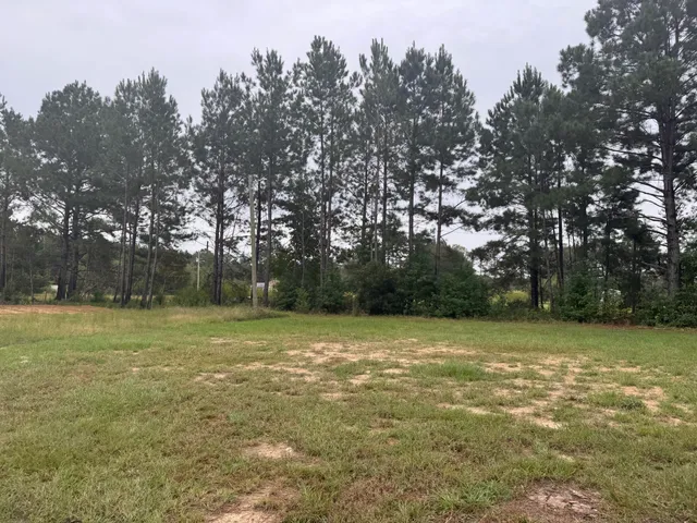 $219,900 | 437 Cedar Crest Drive, Tillman, SC 29943