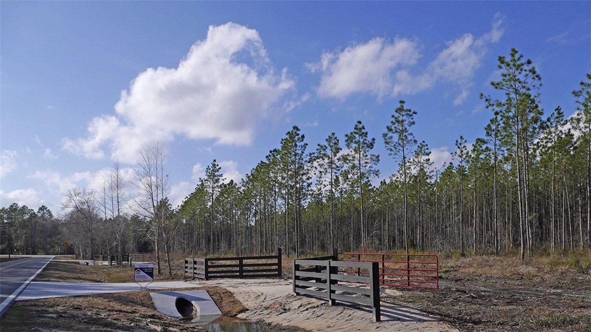 Lot 3 Middle Road Callahan, FL 32011 - Photo 2 of 4 a view of a backyard