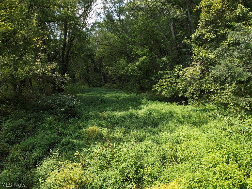 31541 Ansel Road Logan, OH 43138 - Photo 3 of 15 Gallery Image 3