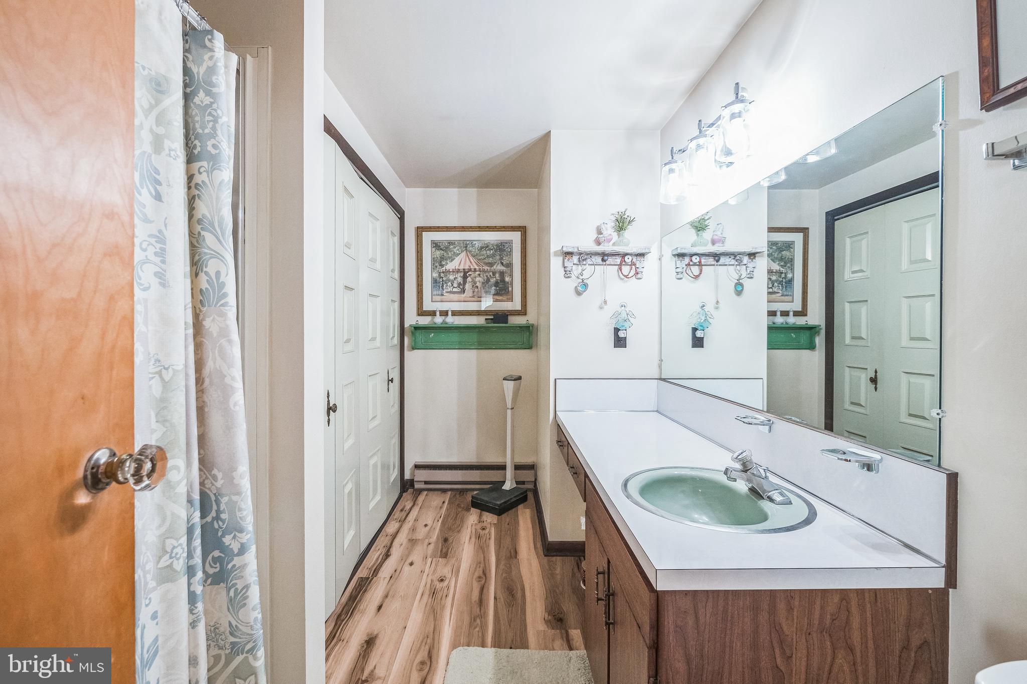 18605 Horseshoe Bend Road Sharpsburg, MD 21782 - Photo 18 of 46 Primary Bath