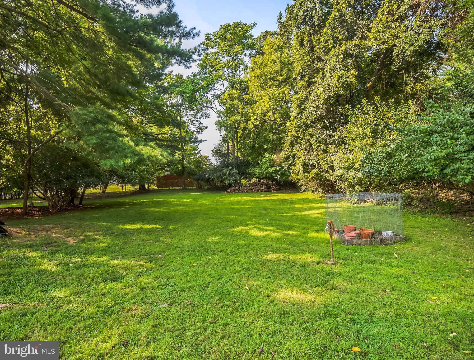 18605 Horseshoe Bend Road Sharpsburg, MD 21782 - Photo 44 of 46 Yard