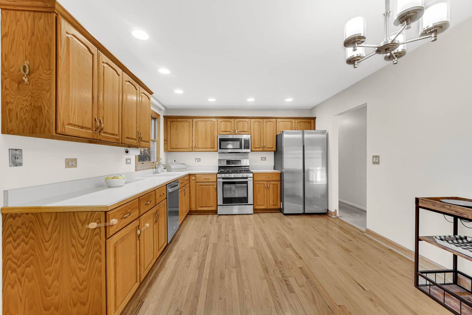 507 North Rumple Lane Addison, IL 60101 - Photo 9 of 27 Gallery Image 9