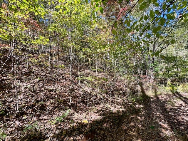 Tbd Upper Peachtree Road Murphy, NC 28906 - Photo 14 of 17