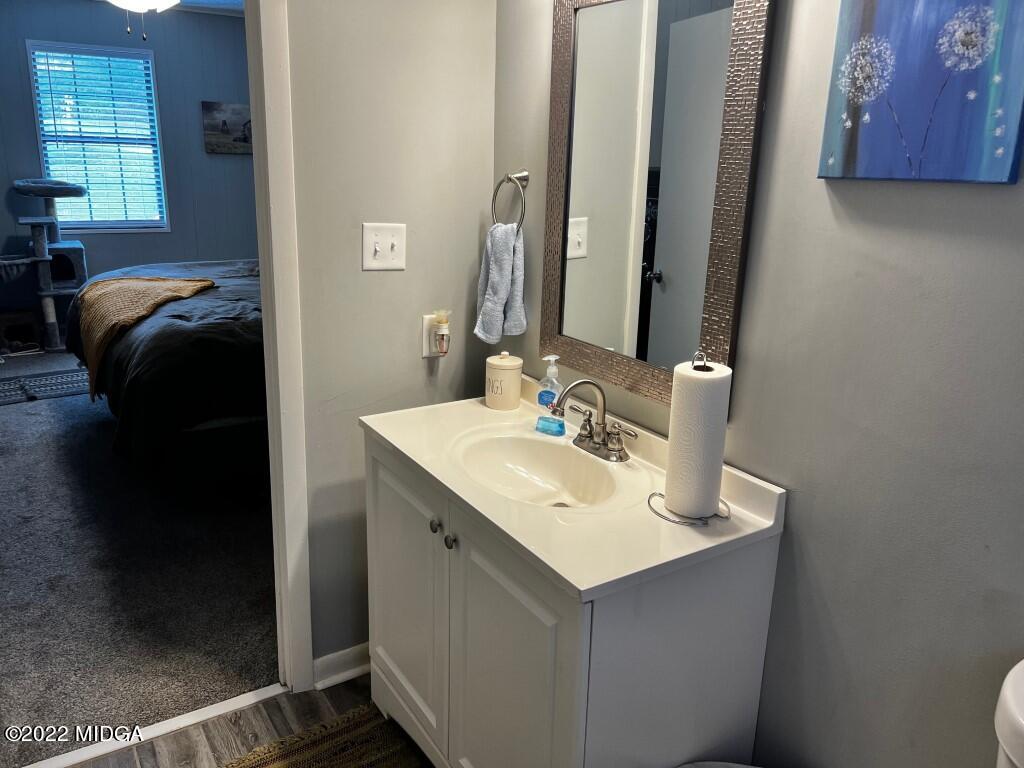 398 Old Benton Road Juliette, GA 31046 - Photo 19 of 31 a en suite bathroom with a sink and a mirror