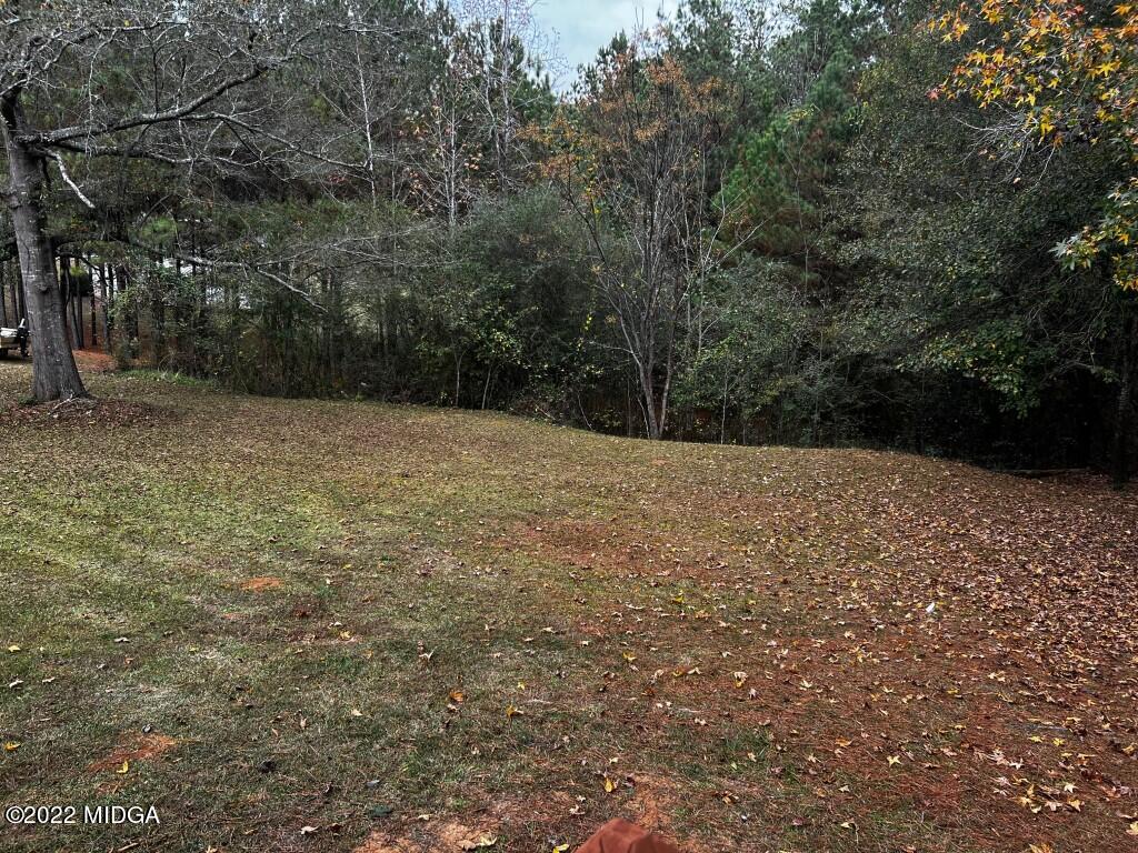 398 Old Benton Road Juliette, GA 31046 - Photo 4 of 31 a backyard of a house with lots of green space