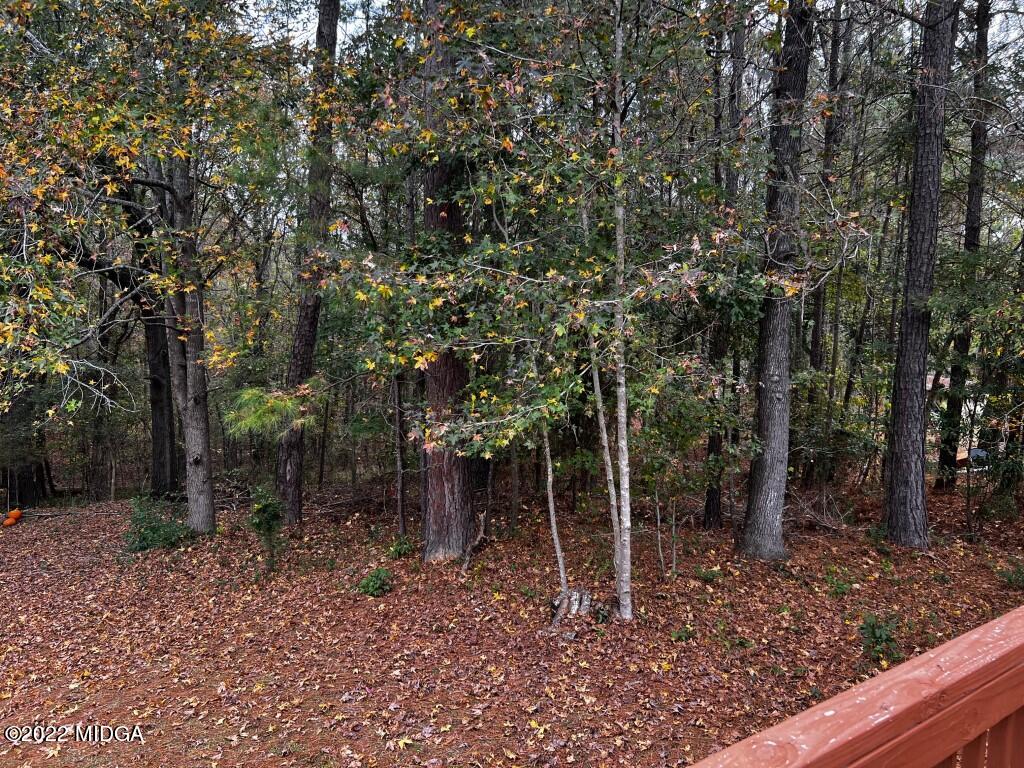 398 Old Benton Road Juliette, GA 31046 - Photo 5 of 31 a backyard of a house with lots of green space