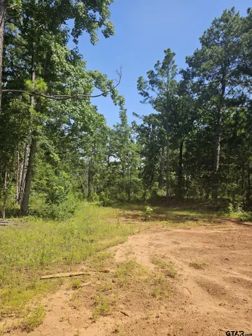 a view of a yard with an outdoor space