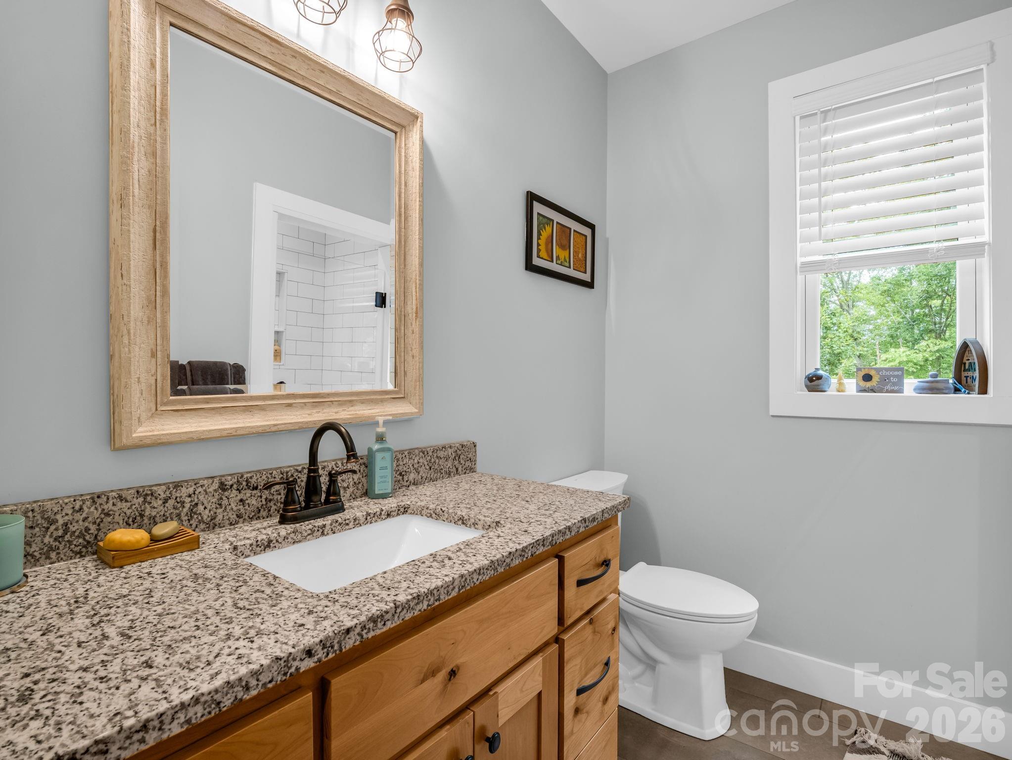 617 South Cove Road Mill Spring, NC 28756 - Photo 14 of 48
