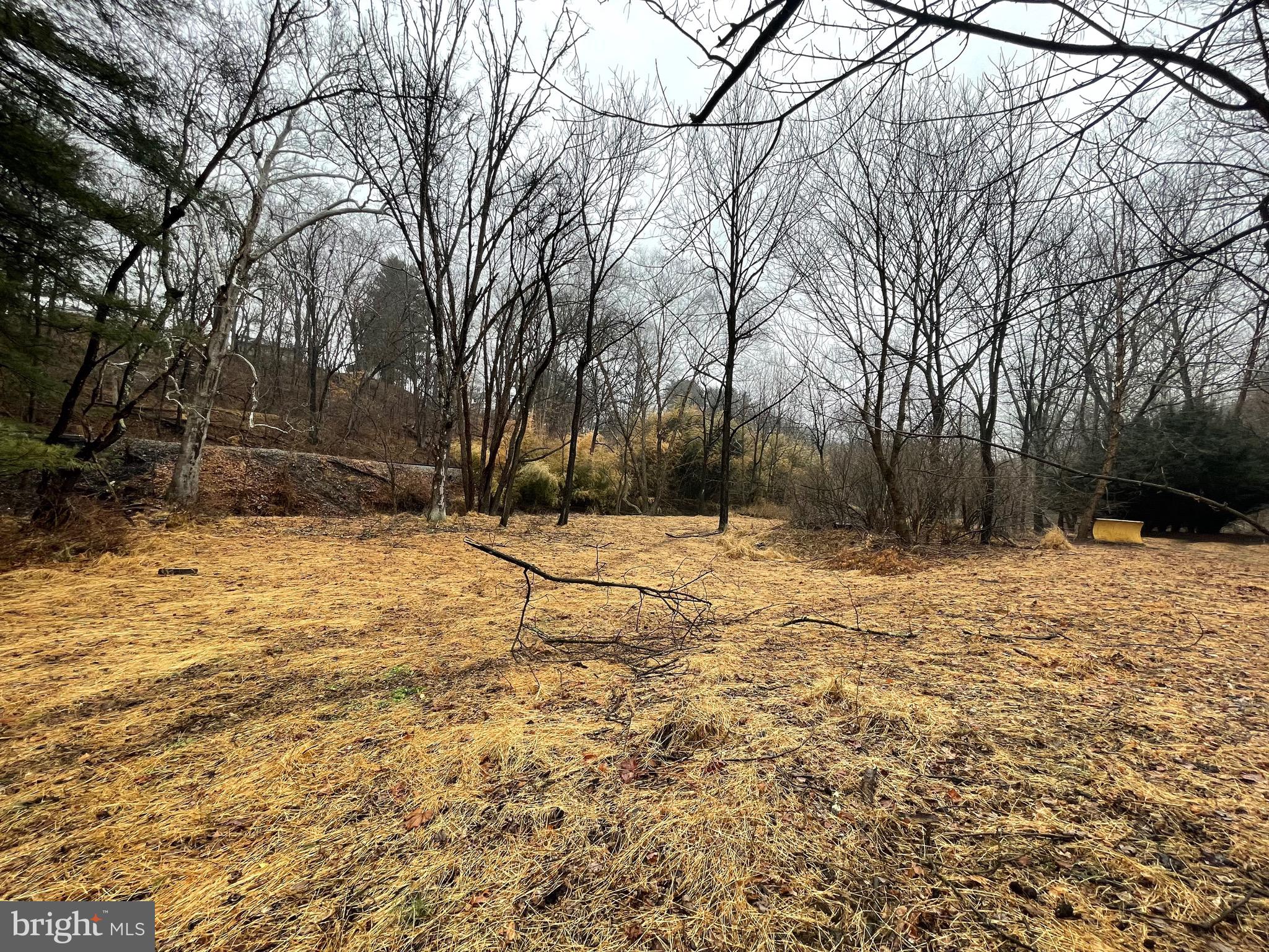 Flag Marsh Rd Mount Mount Airy, MD 21771 - Photo 3 of 35