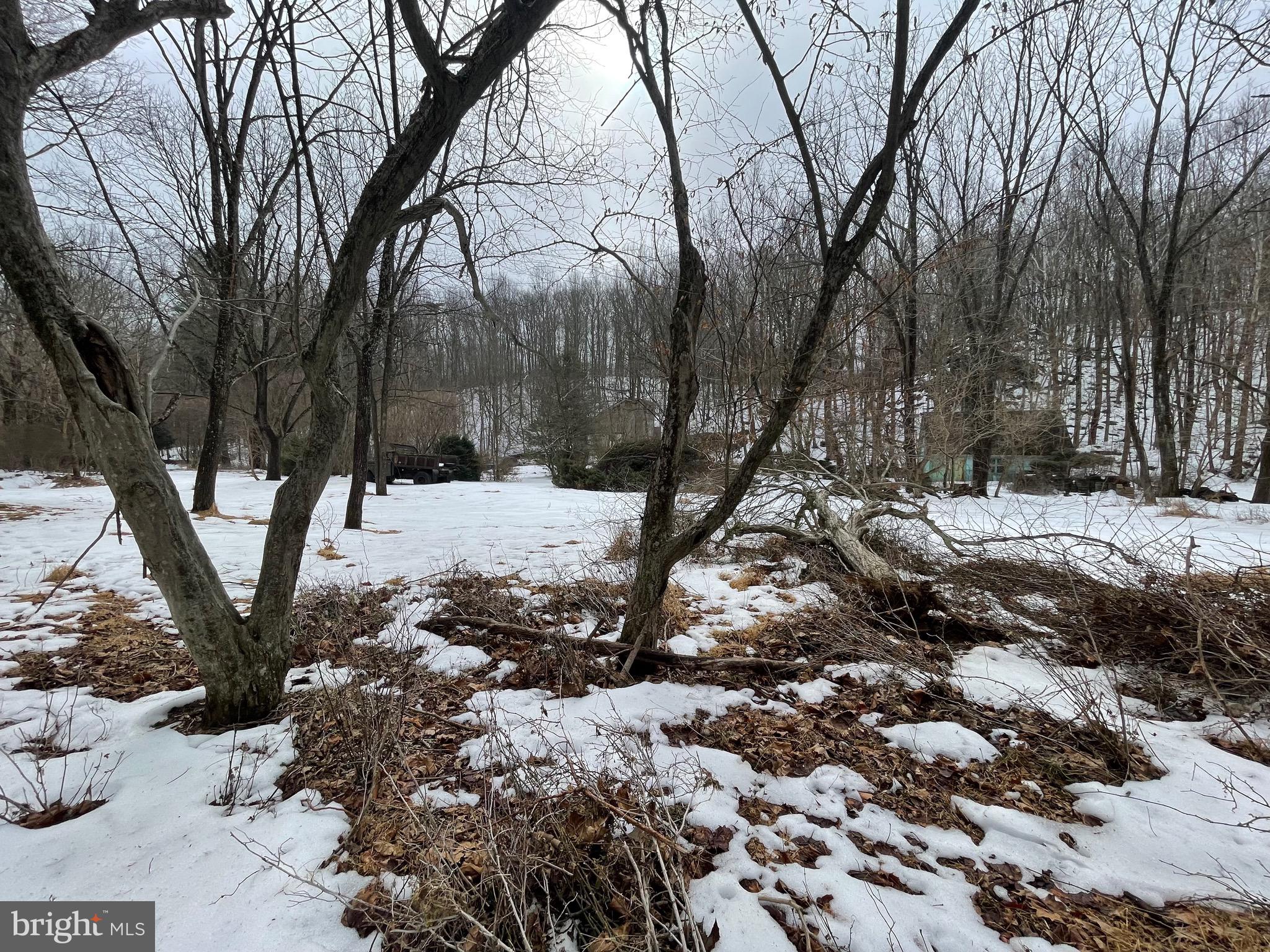 Flag Marsh Rd Mount Mount Airy, MD 21771 - Photo 4 of 35 a view of covered with snow